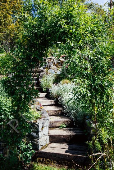 exteriors garden stone stairs