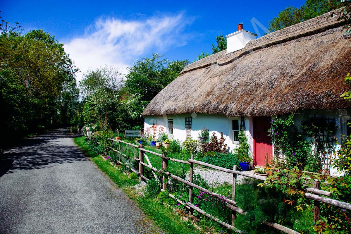 exteriors of a white washed thatched cottage