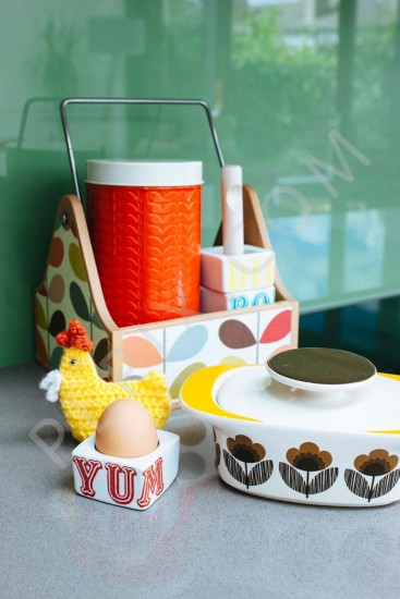 Kitchen extension with retro furniture