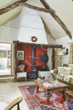 Lovely Thatched cottage with cozy interiors