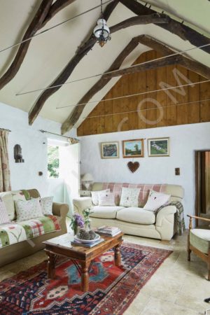 Lovely Thatched cottage with cozy interiors