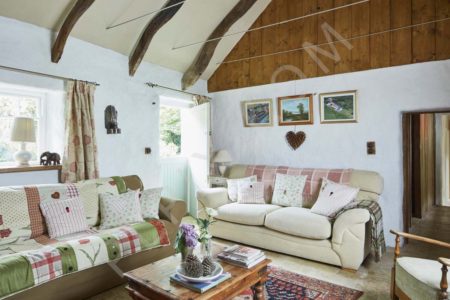 Lovely Thatched cottage with cozy interiors