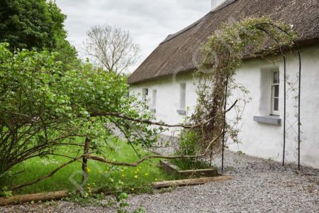 Lovely Thatched cottage with cozy interiors