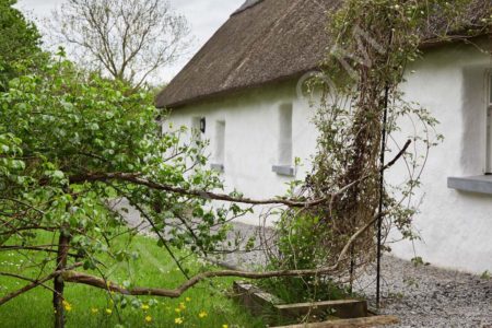 Lovely Thatched cottage with cozy interiors