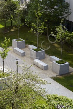 View of garden with seating