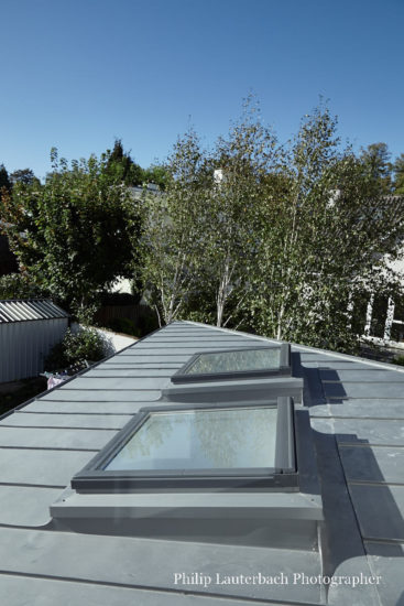 Exterior skylights flat roof trees extension