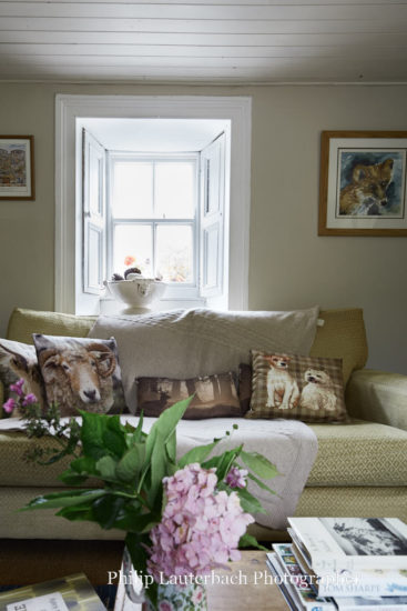living room sofa couch cushions window timber shutters artwork flowers