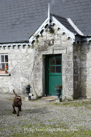 Exterior enterance stone facade gravel pet