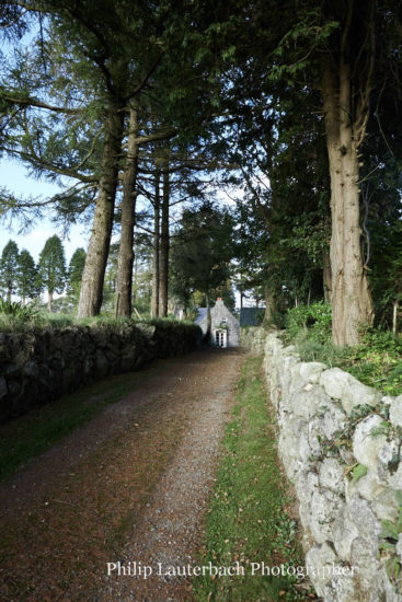 Exterior driveway stone wall trees
