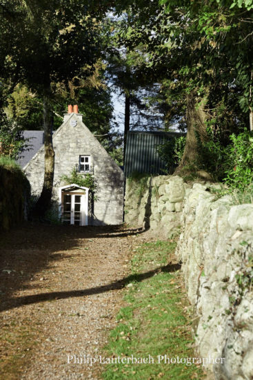 Exterior driveway stone wall trees