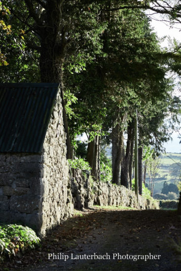 Exterior driveway stone walls trees